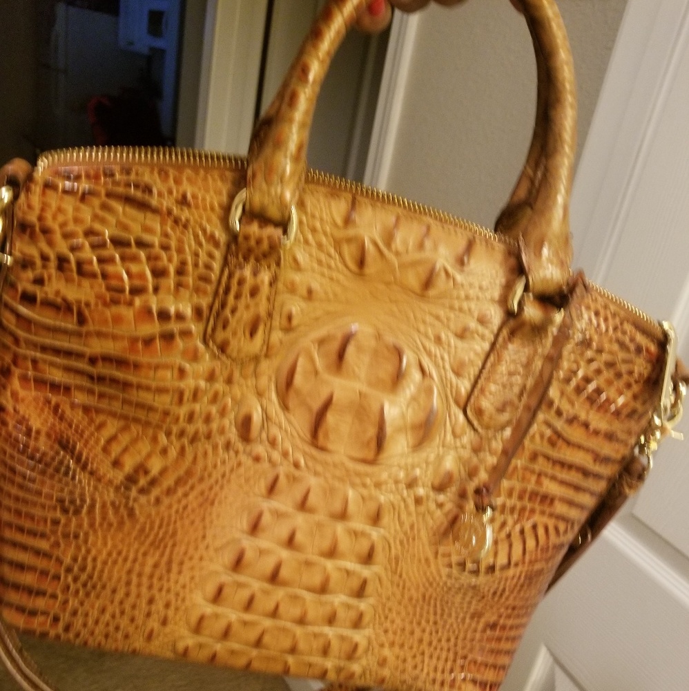 Brahmin purse